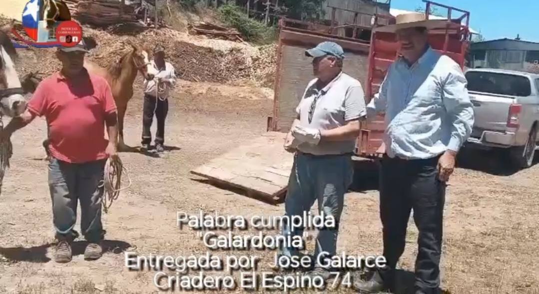 593581530_122195842292562105_5385050210163485127_n (1)