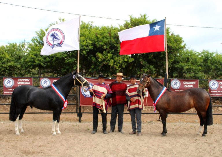 594975060_122196490382562105_5439034397723183064_n