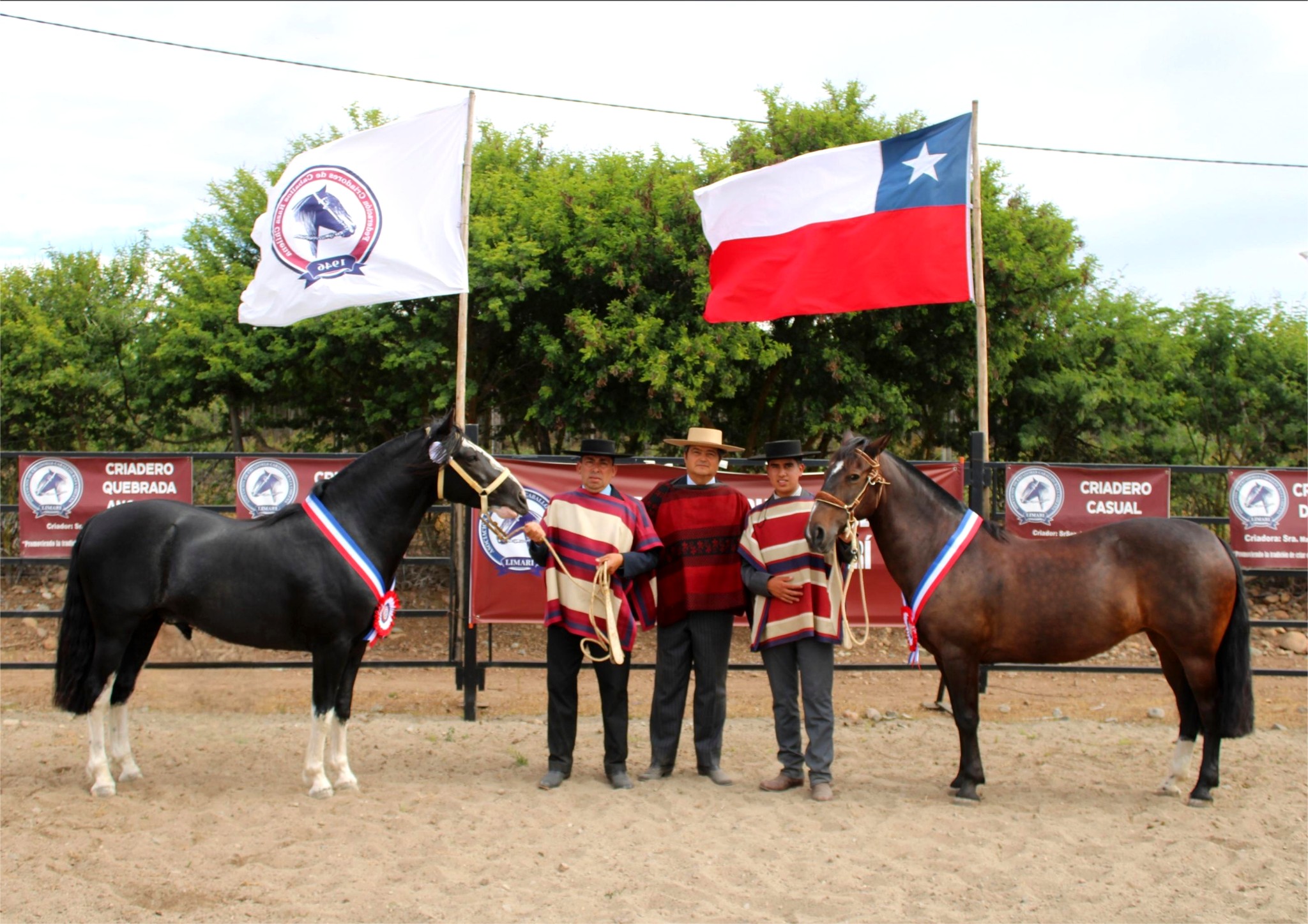 594975060_122196490382562105_5439034397723183064_n