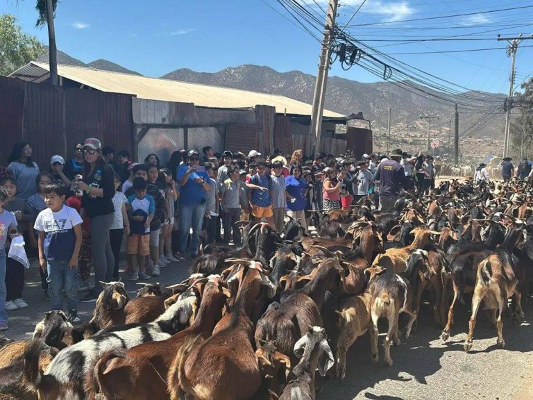 596168442_122196591722562105_7959582000529181022_n