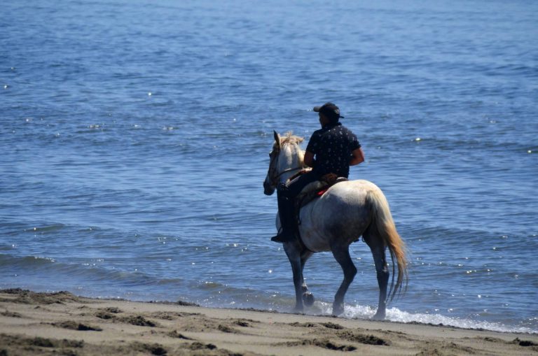 597132761_122196938390562105_5342233299147968889_n