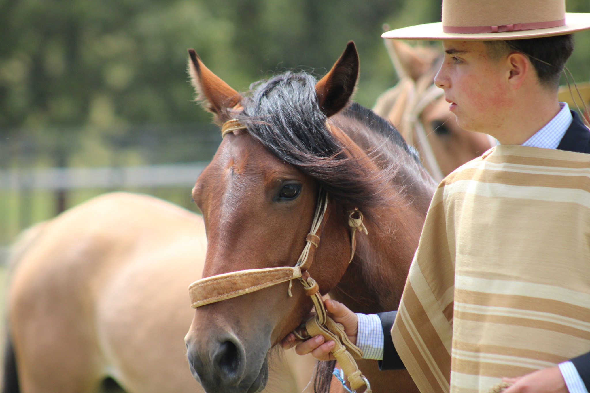 597819480_122197597610562105_5305129072292446312_n