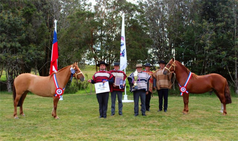 599616404_122197579550562105_2210280119794381022_n