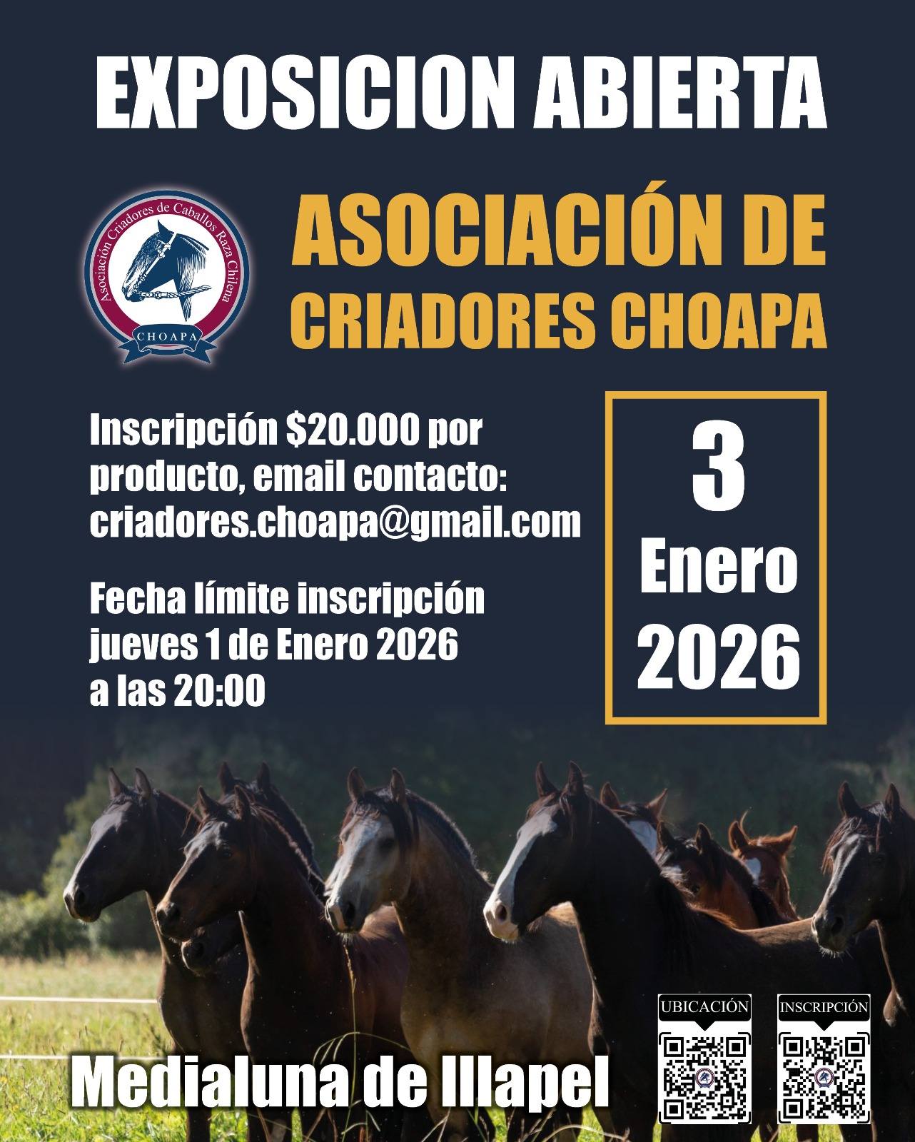 600296236_122199071000562105_4554207962603371352_n