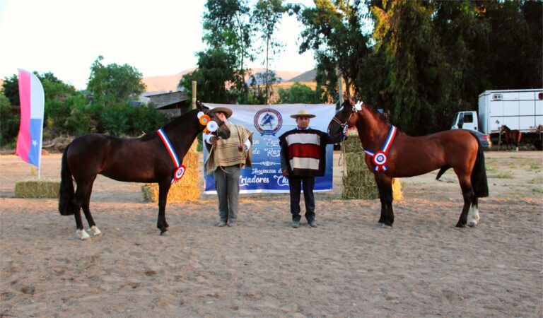 611677725_122200815998562105_4805813441155103295_n