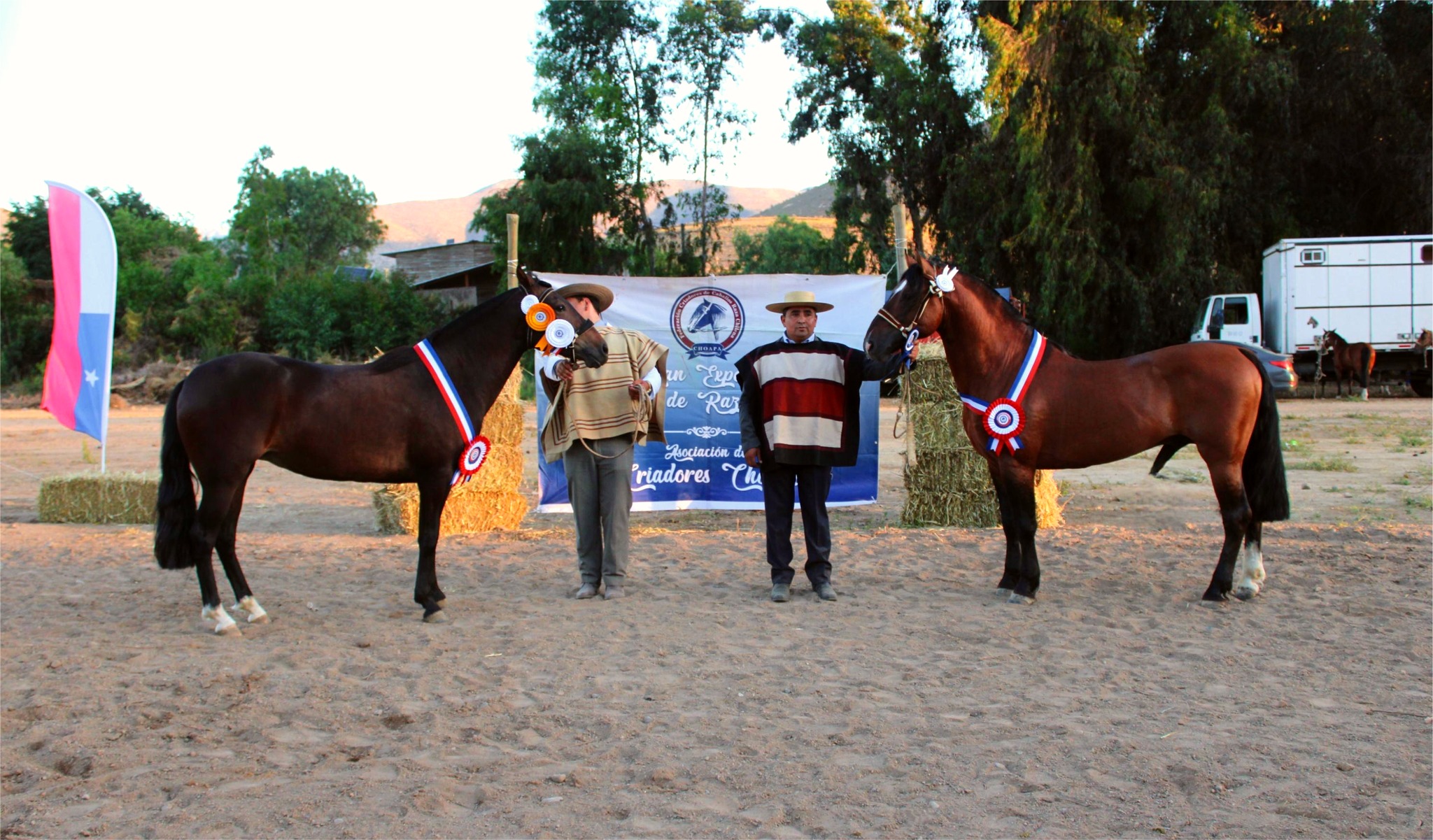 611677725_122200815998562105_4805813441155103295_n