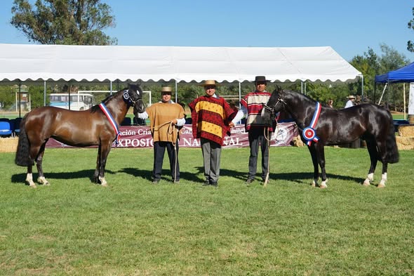 617024740_122203017926562105_2593584711149967621_n