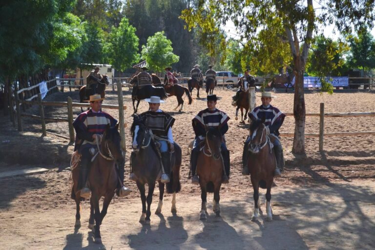 617041104_122203263572562105_6871257869397204832_n