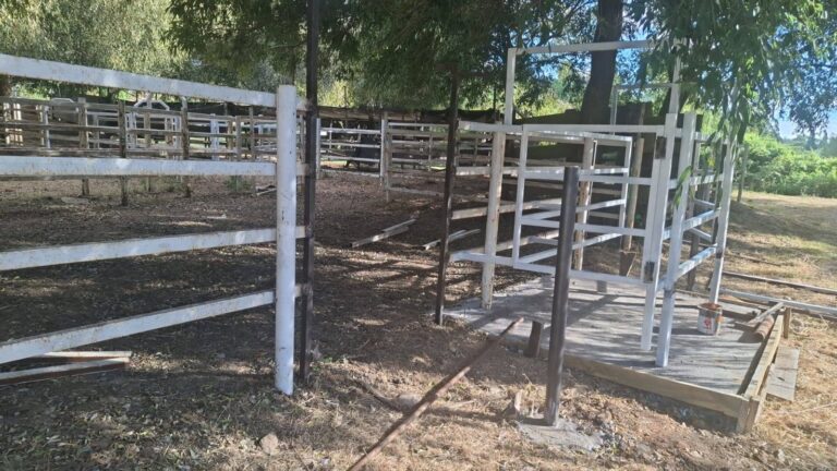 618272004_122203169498562105_6815324285377788847_n