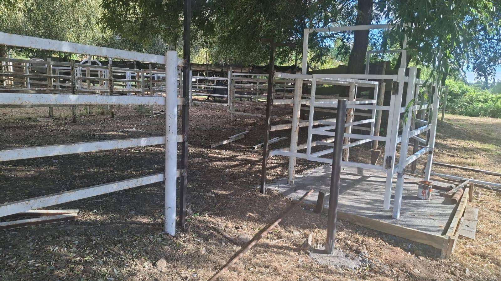 618272004_122203169498562105_6815324285377788847_n