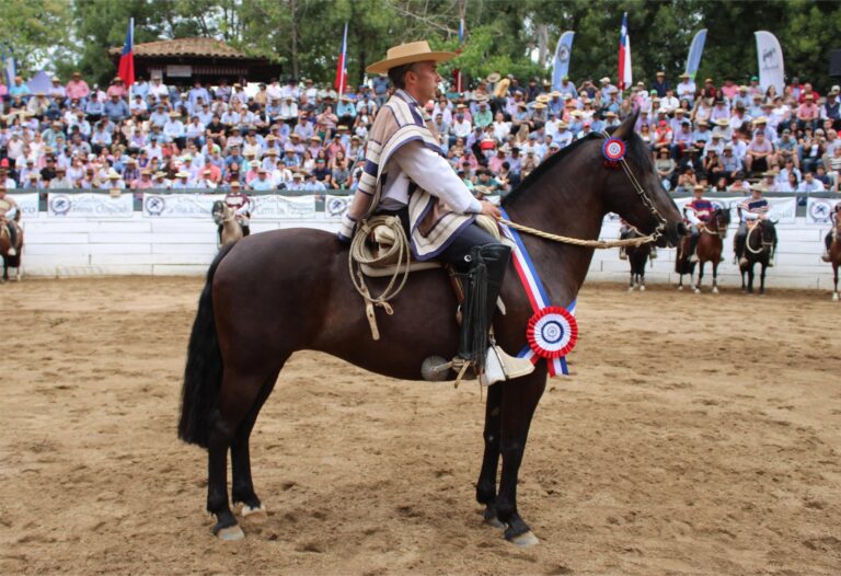 621629018_122203885904562105_2405025417194933106_n