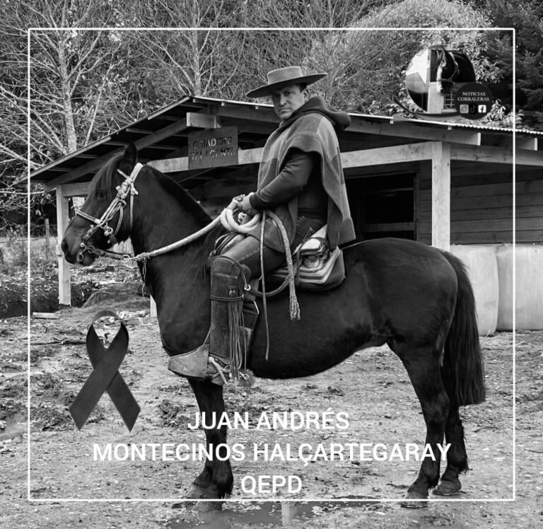 623017352_122204061422562105_8168834355969902900_n