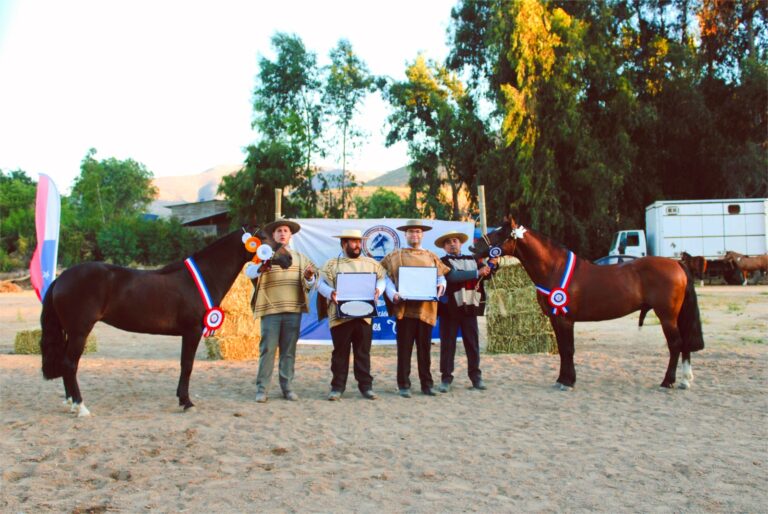 WhatsApp Image 2026-01-07 at 16.05.07 (2)