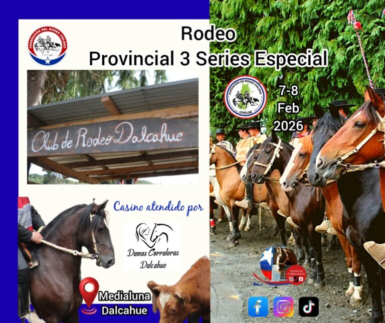 625362404_122205195572562105_9140828399027737611_n