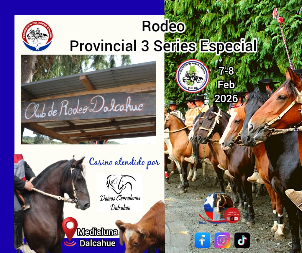 625362404_122205195572562105_9140828399027737611_n