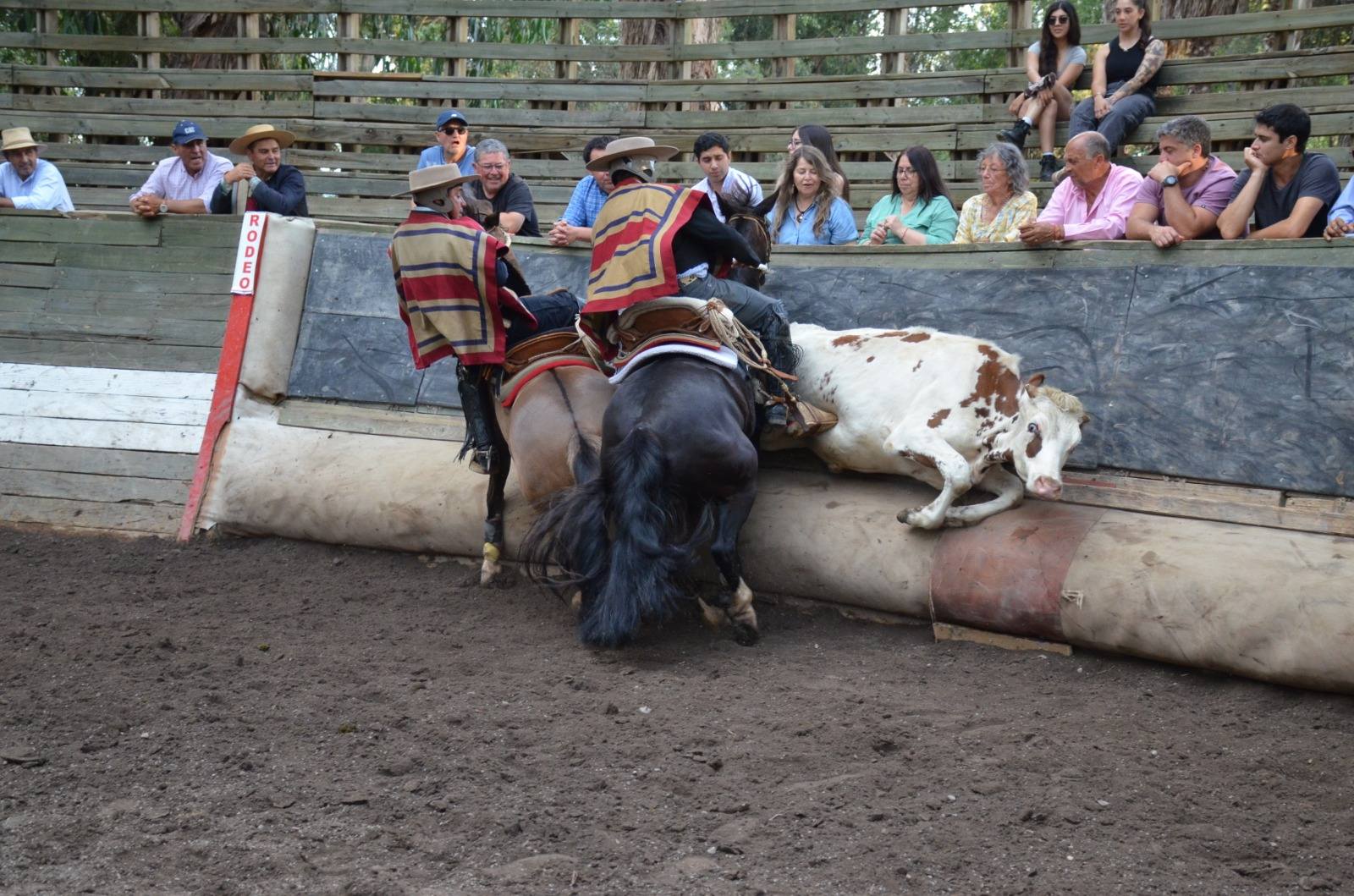 627163808_122205308348562105_7764305919426667850_n