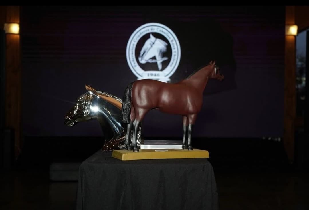 629682643_122206352840562105_4173501485716970243_n