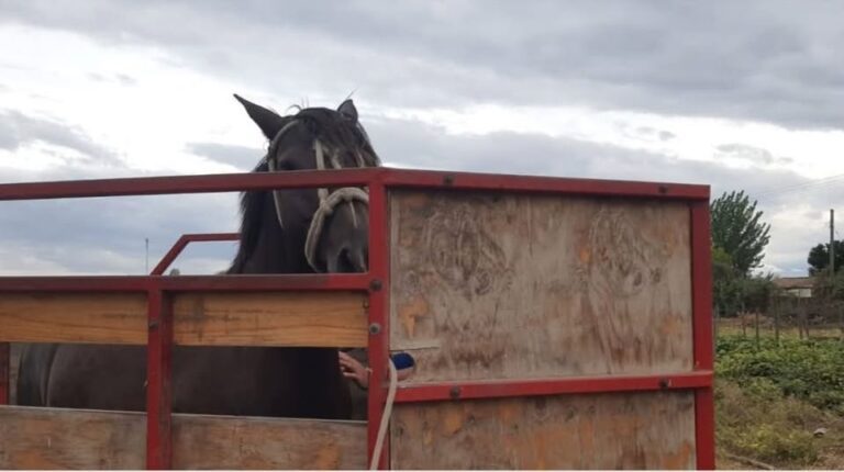 633528077_122206432310562105_9182468630415159417_n