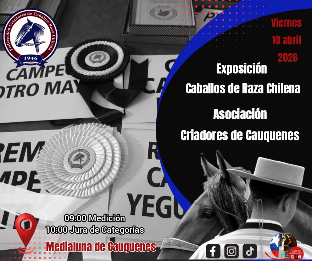 668351511_122215053944562105_1509586399427597995_n