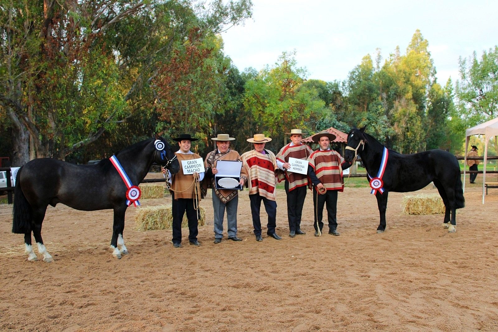 669749080_122215560116562105_6591366729283487584_n