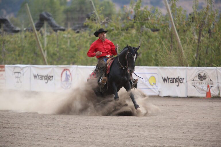 Marcelo Troncoso en Tinguiririca